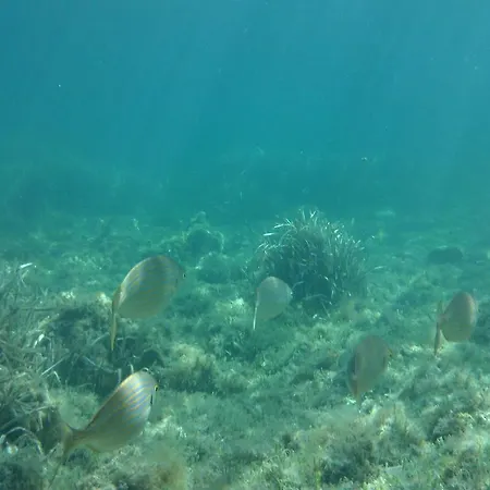 S'archittu Bed&breakfast S'archittu Cuglieri